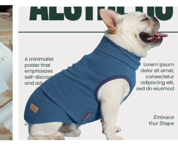 Product packaging design — pet apparel poster